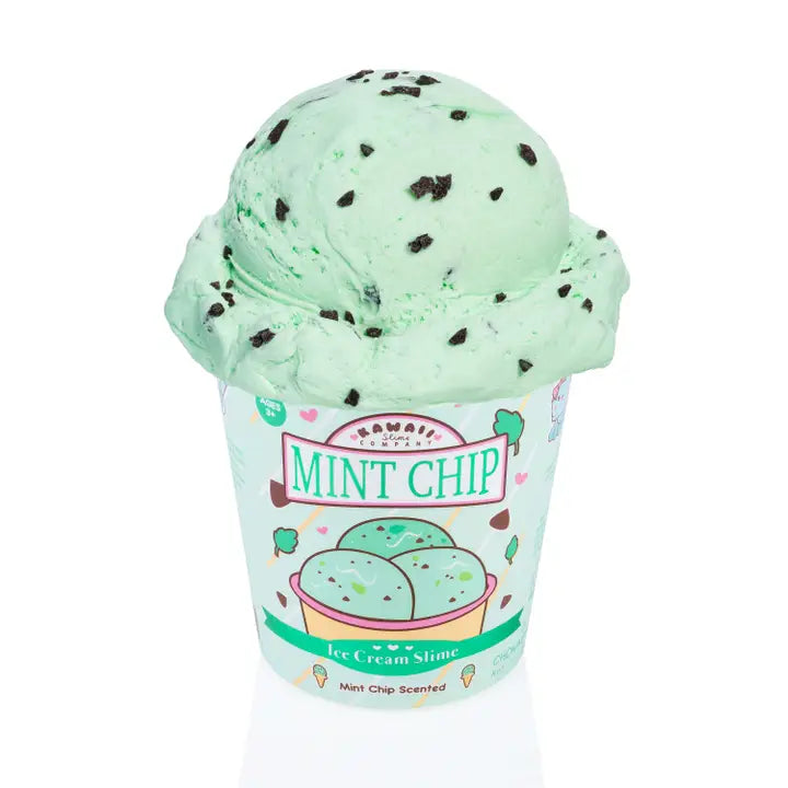 Mint Chip Scented Ice Cream Pint Kawaii Slime