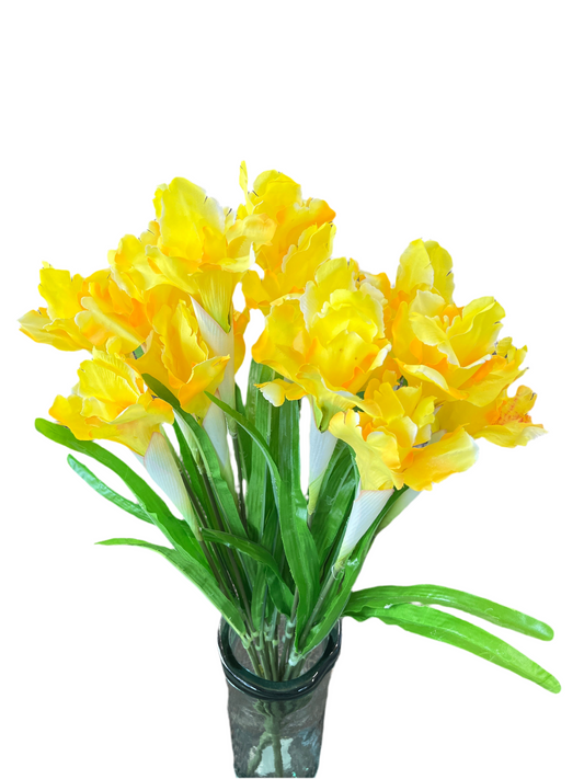 Yellow 27" Iris Bush