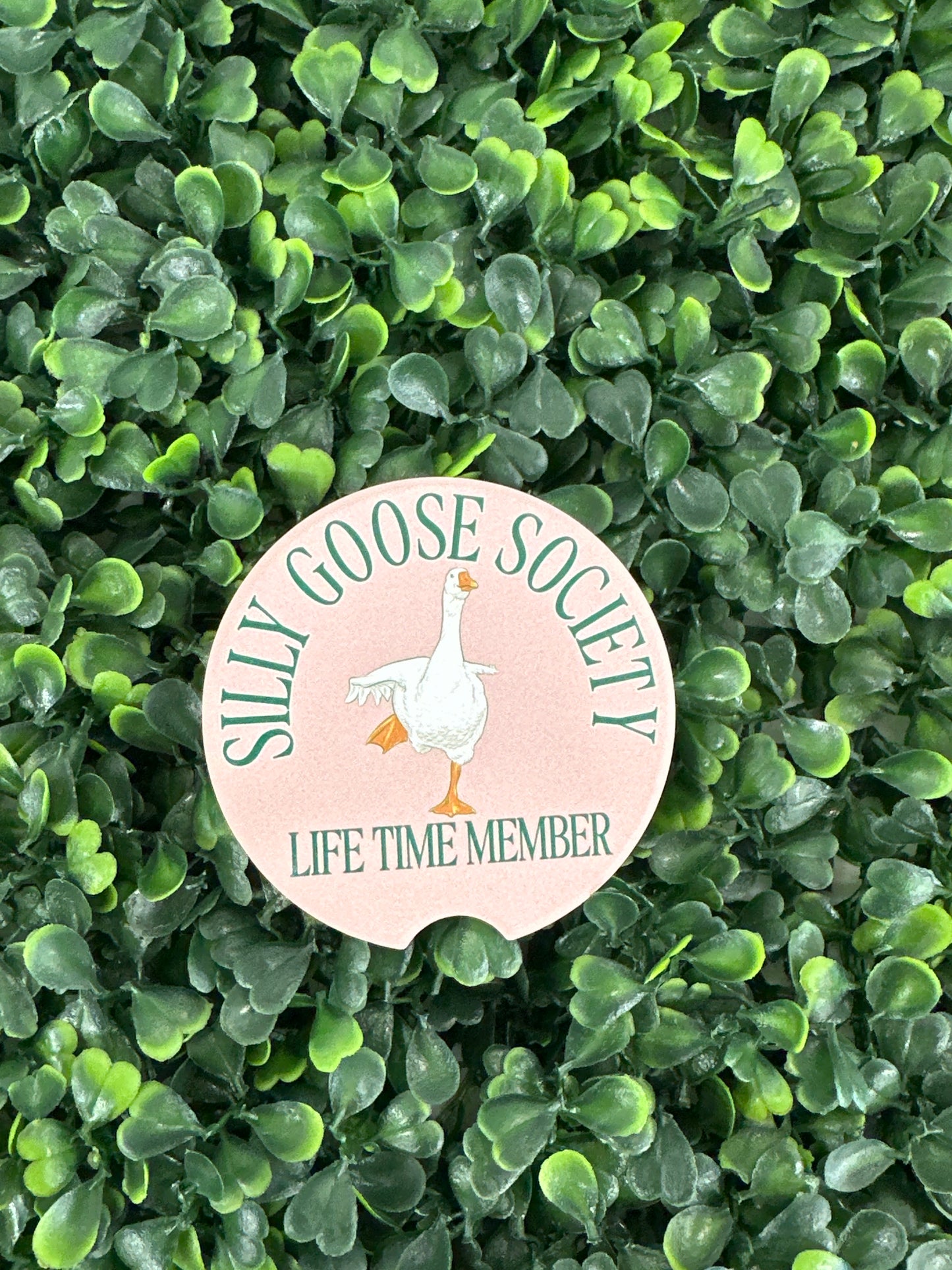 Simply Southern Car Coasters