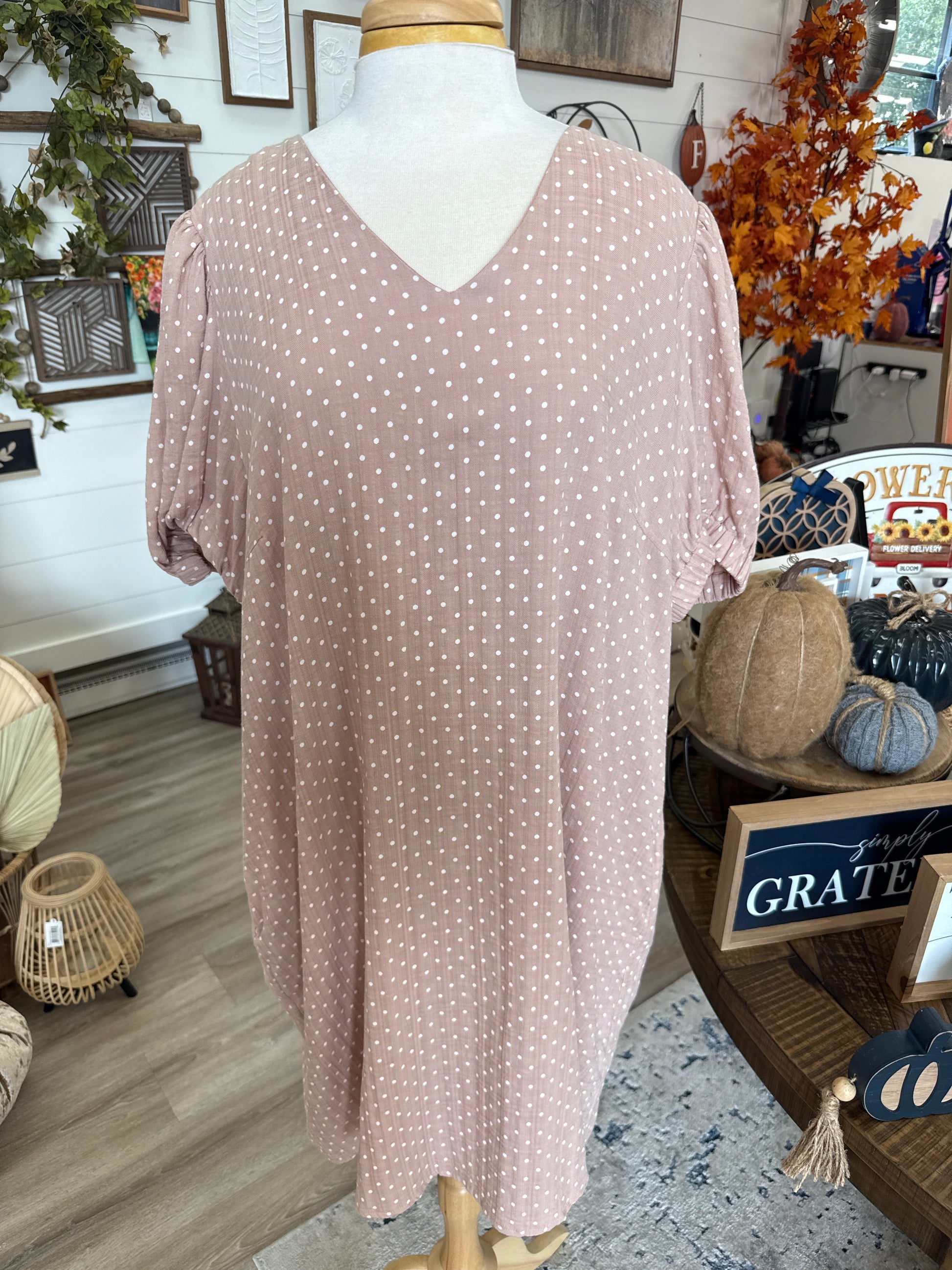 Blush Small Dot V Neck Dress (Plus Size)