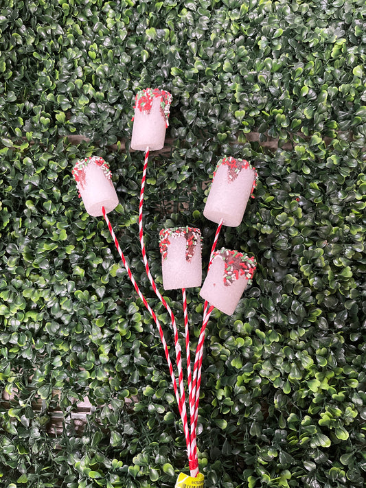 Chocolate Dipped Marshmallow Pick