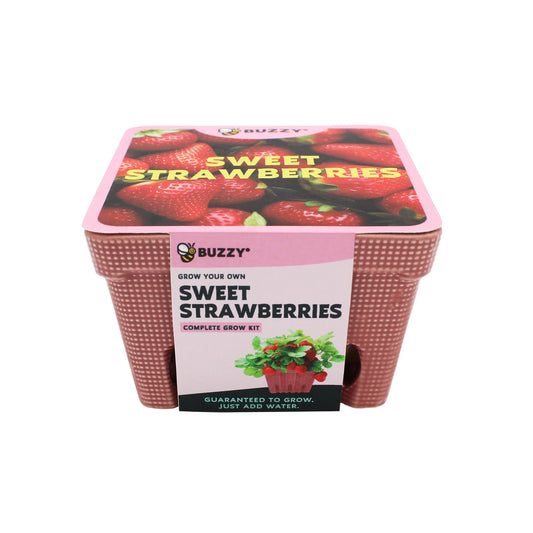 Buzzy Seeds Strawberry Grow Kit | Ceramic Basket Planter