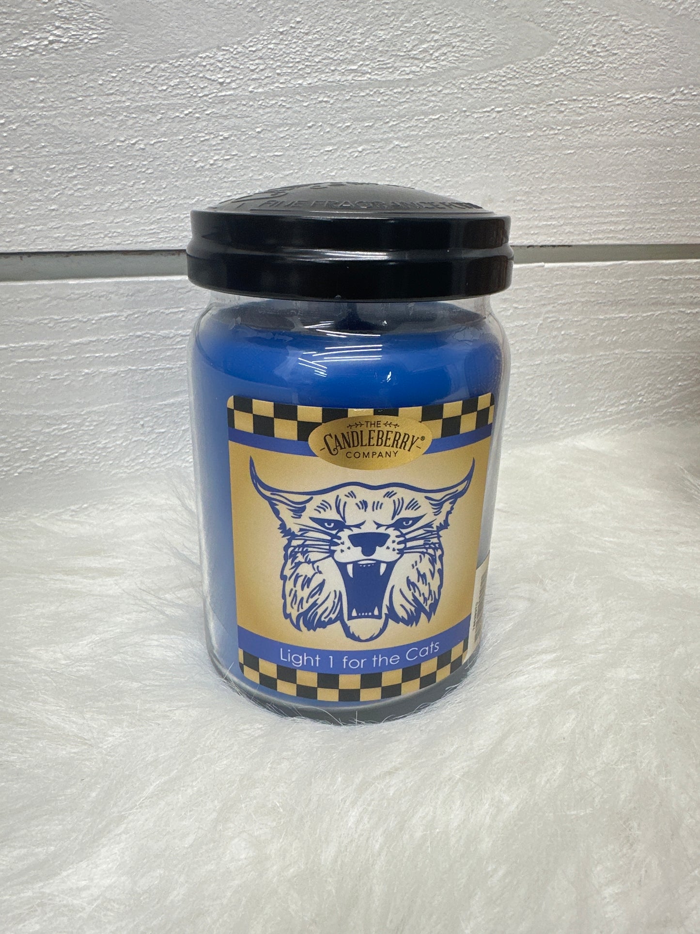 The Candleberry Company- Remarkably Reminiscent Collection LARGE Candles