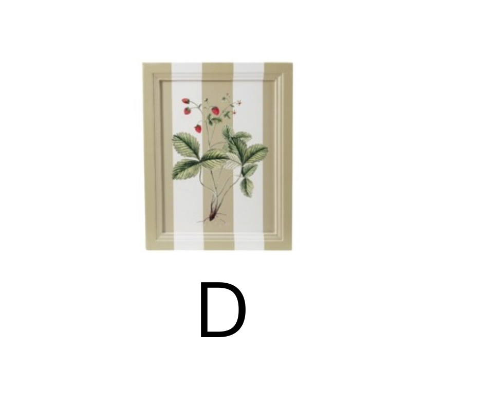 Hazel Mazel MDF Painted Framed Wall Decor With Botanicals