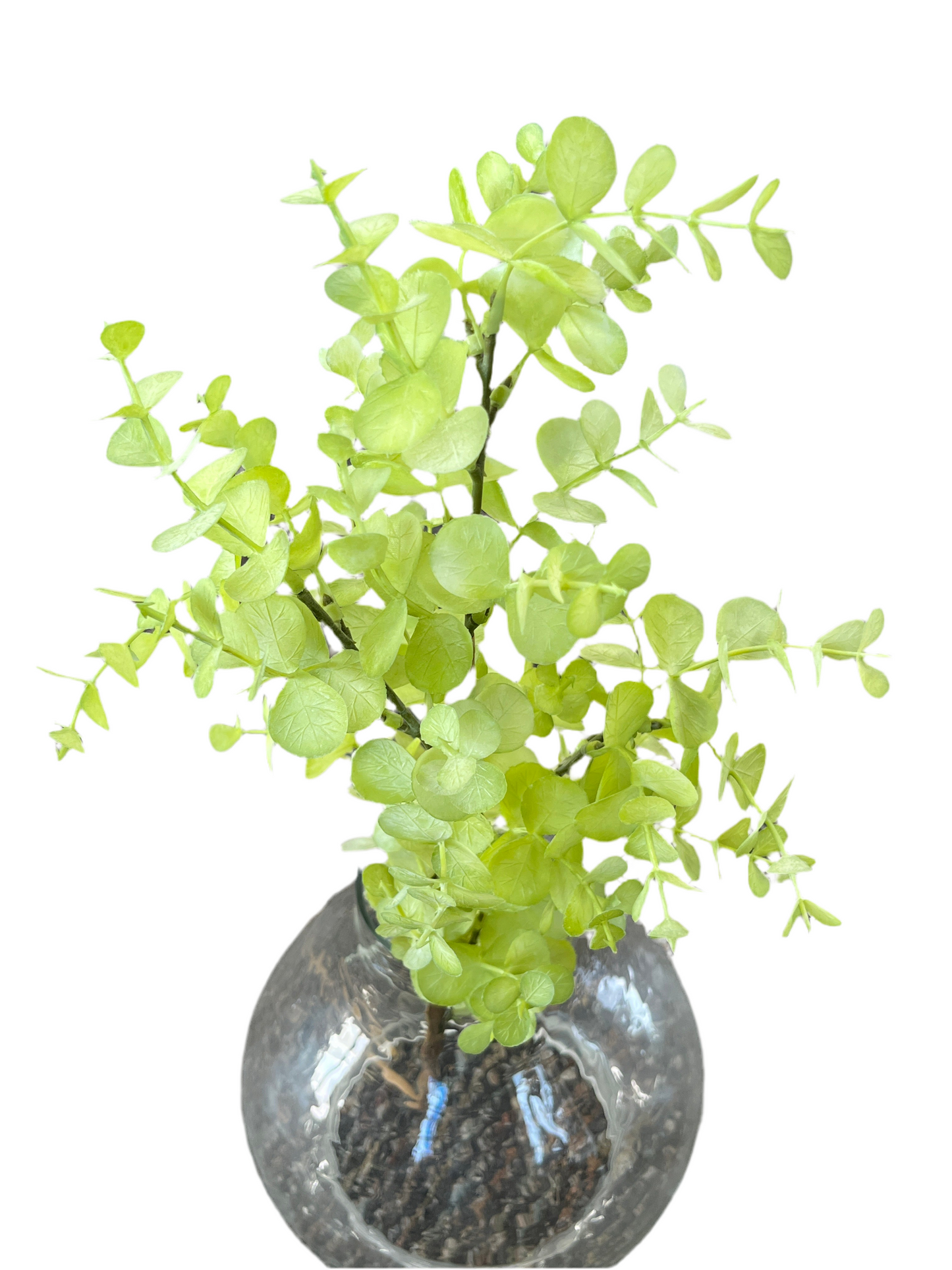 Light Green Eucalyptus Leaf Spray 25.5"