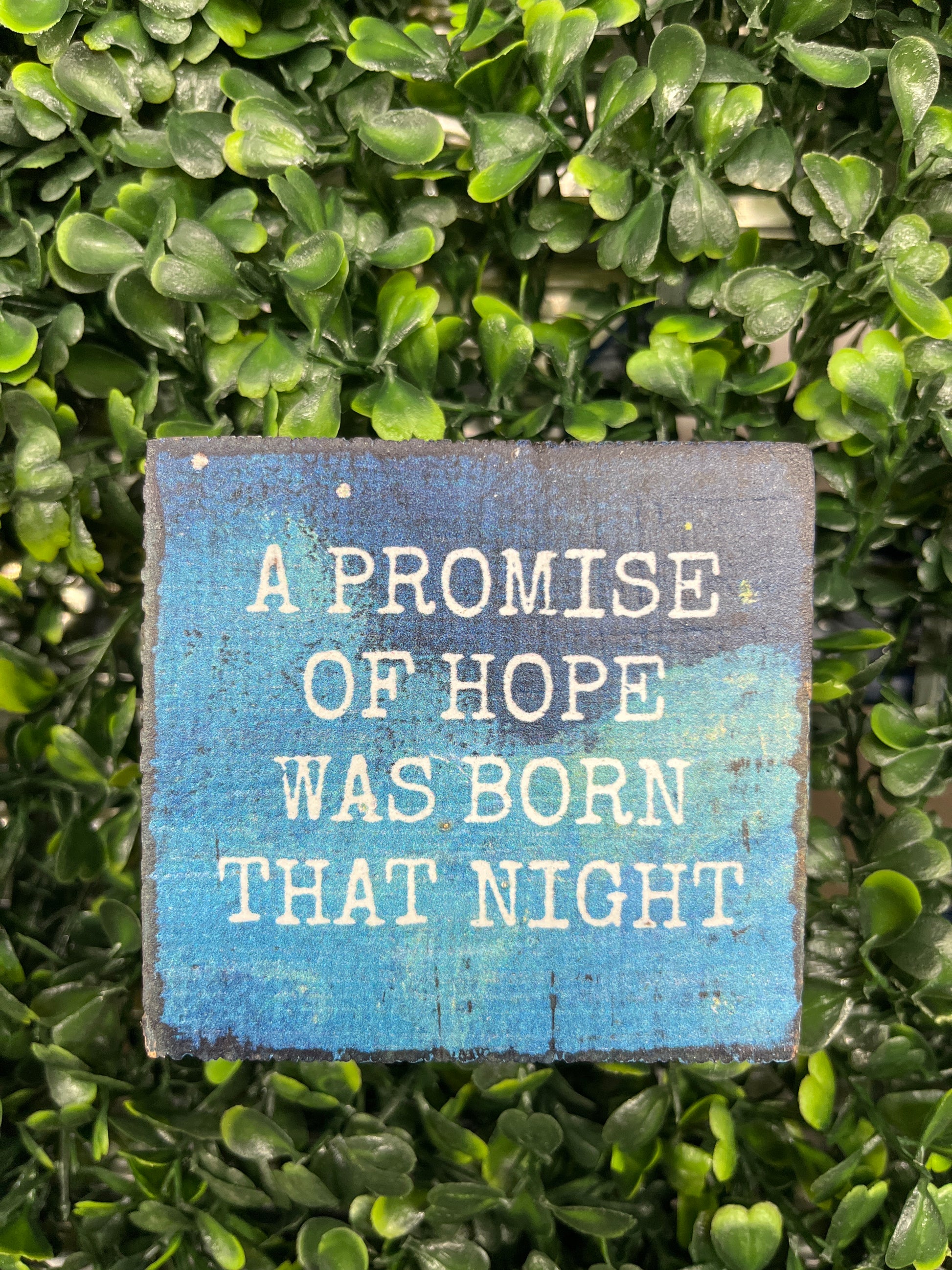 Promise Of Hope Small Wood Block Sign