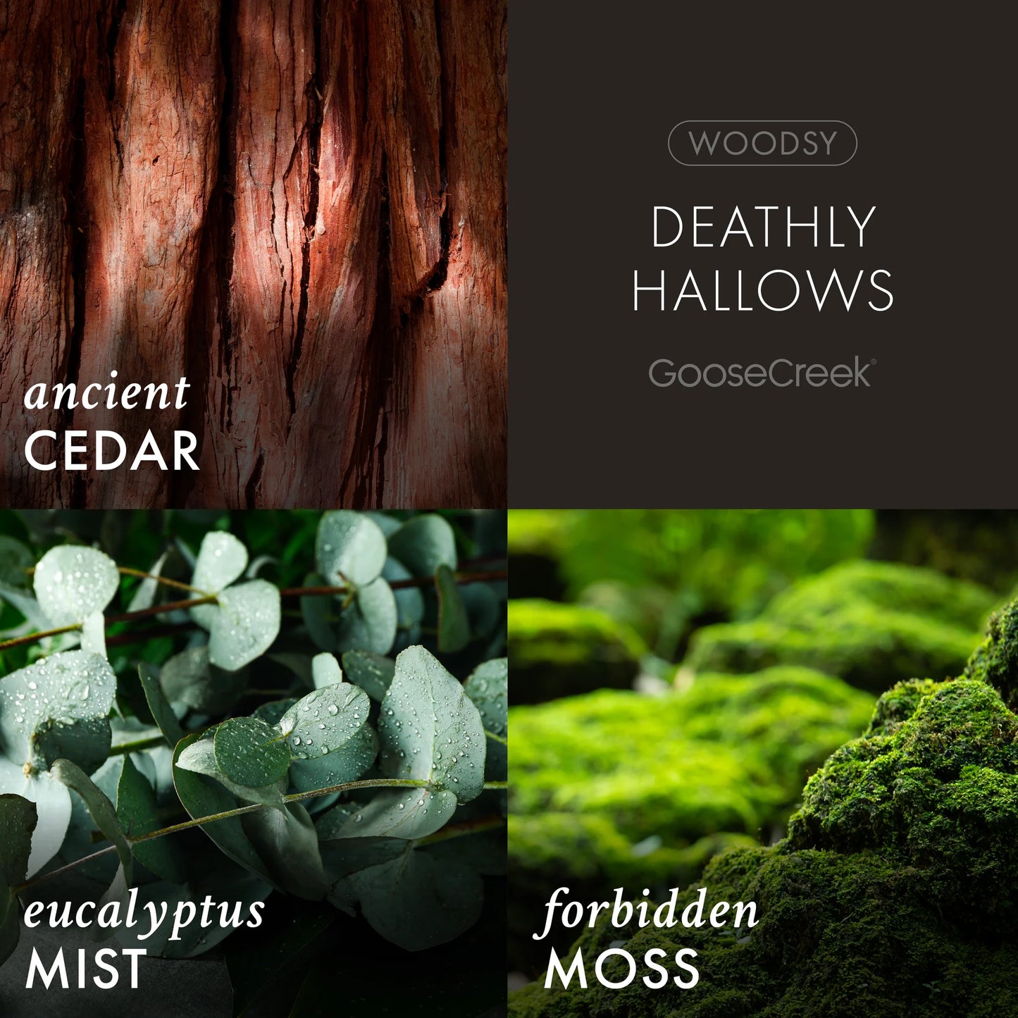 Deathly Hallows 3-Wick Harry Potter Candle