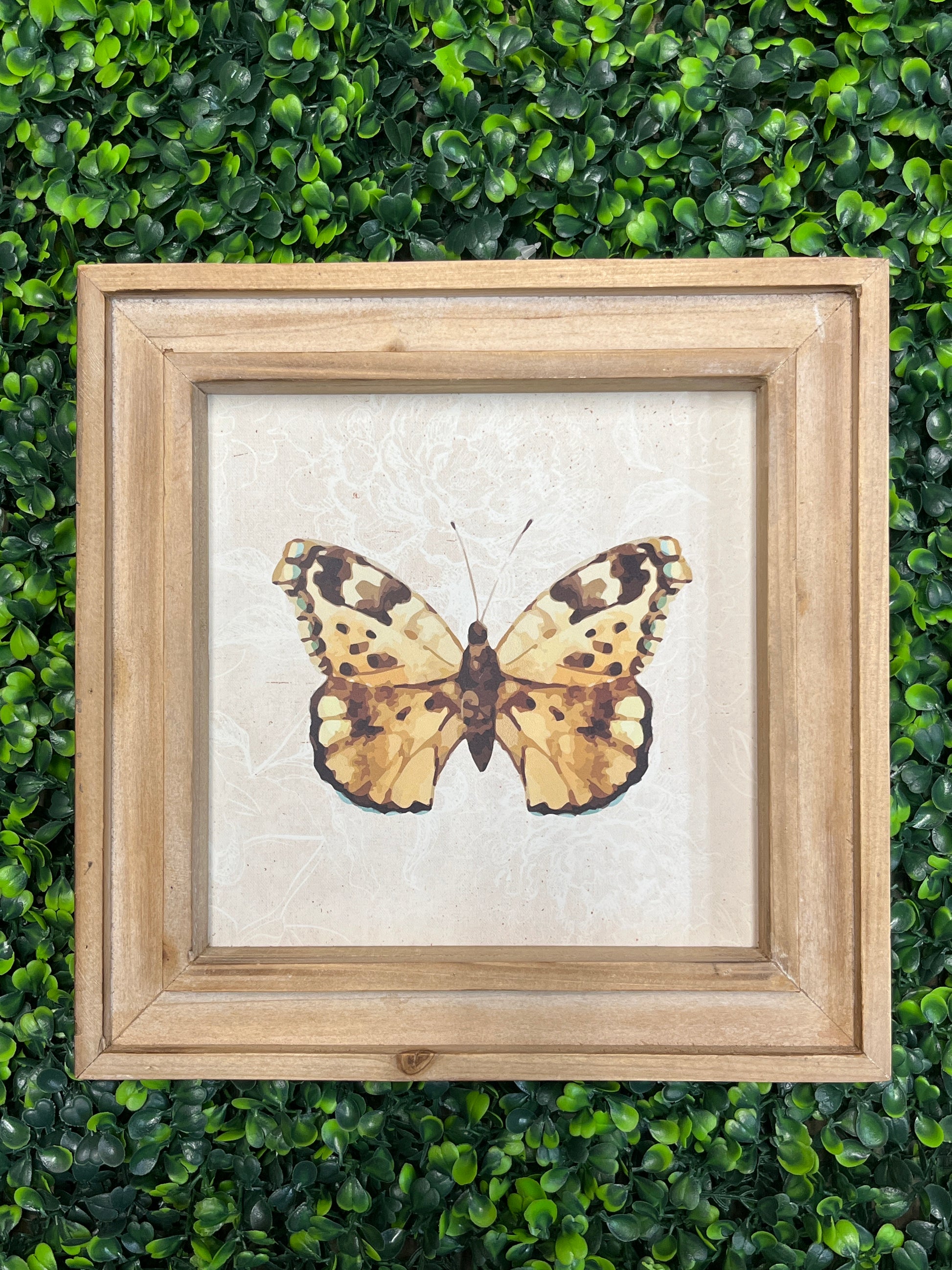 Brown Square Framed Butterfly Art Print