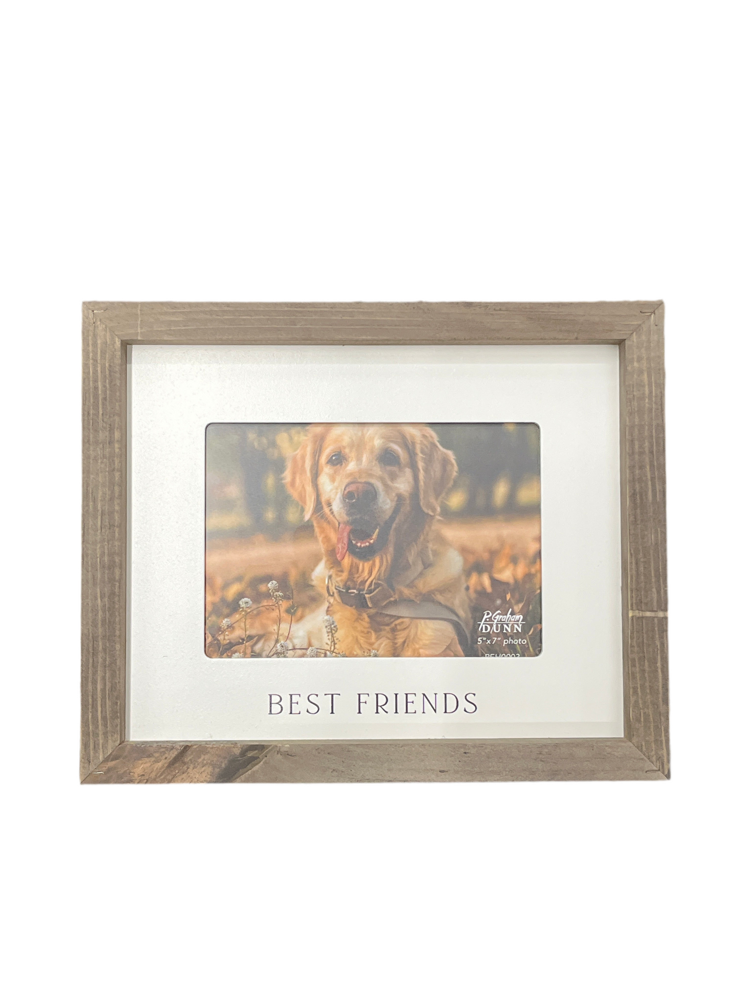 Wood Framed Pet Picture- Best Friends