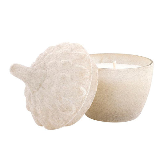 47th And Main Velvet Acorn Candle
