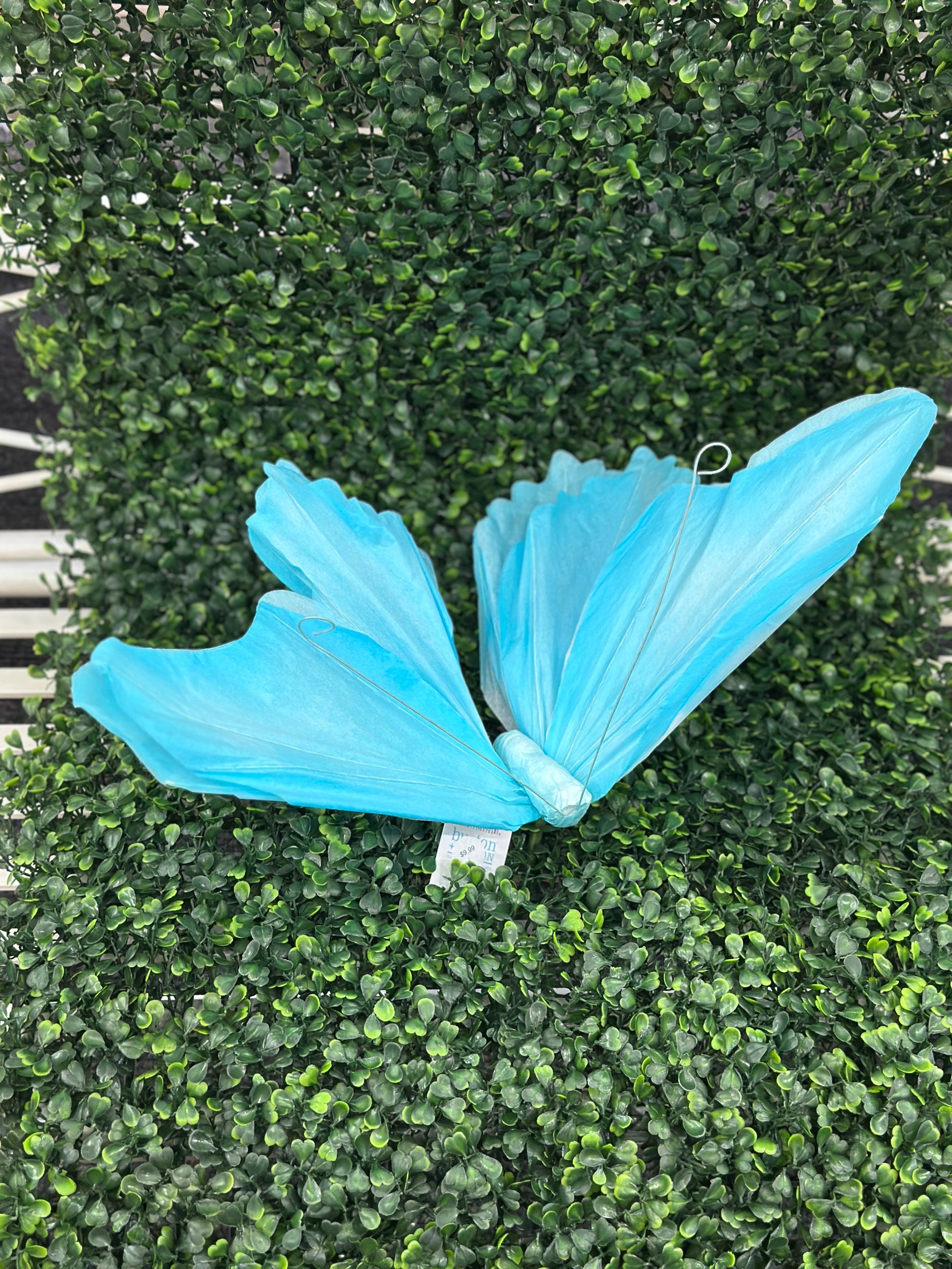Assorted Color Butterfly Paper Picks