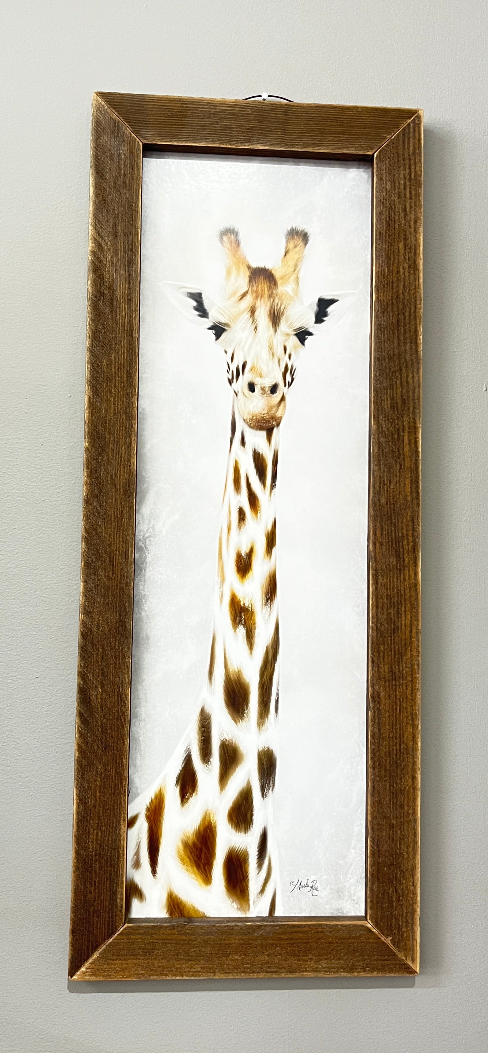 Giraffe Picture