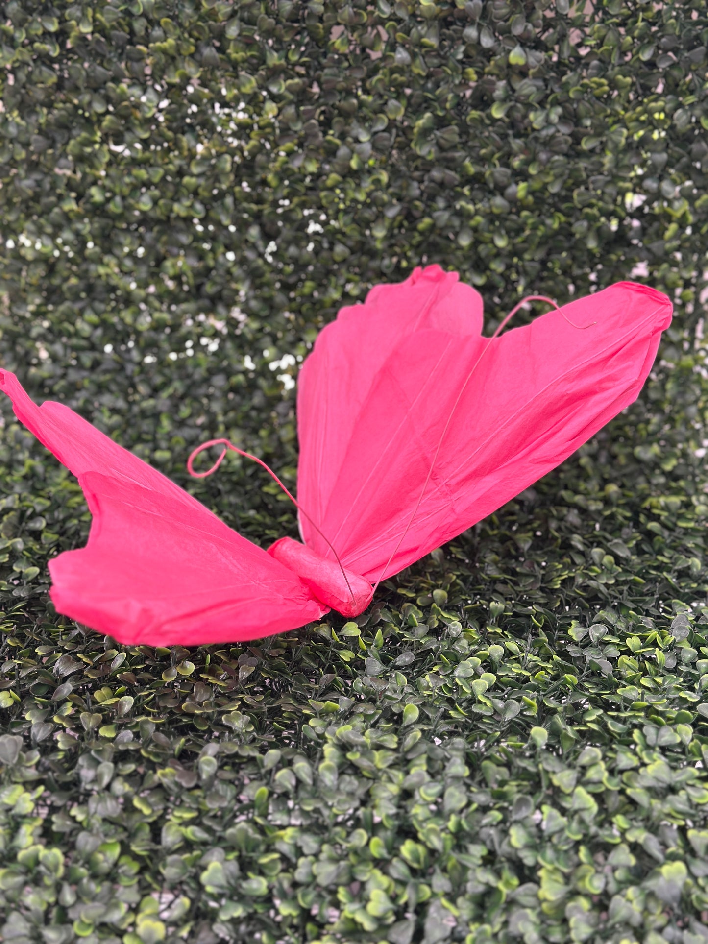 Assorted Color Butterfly Paper Picks