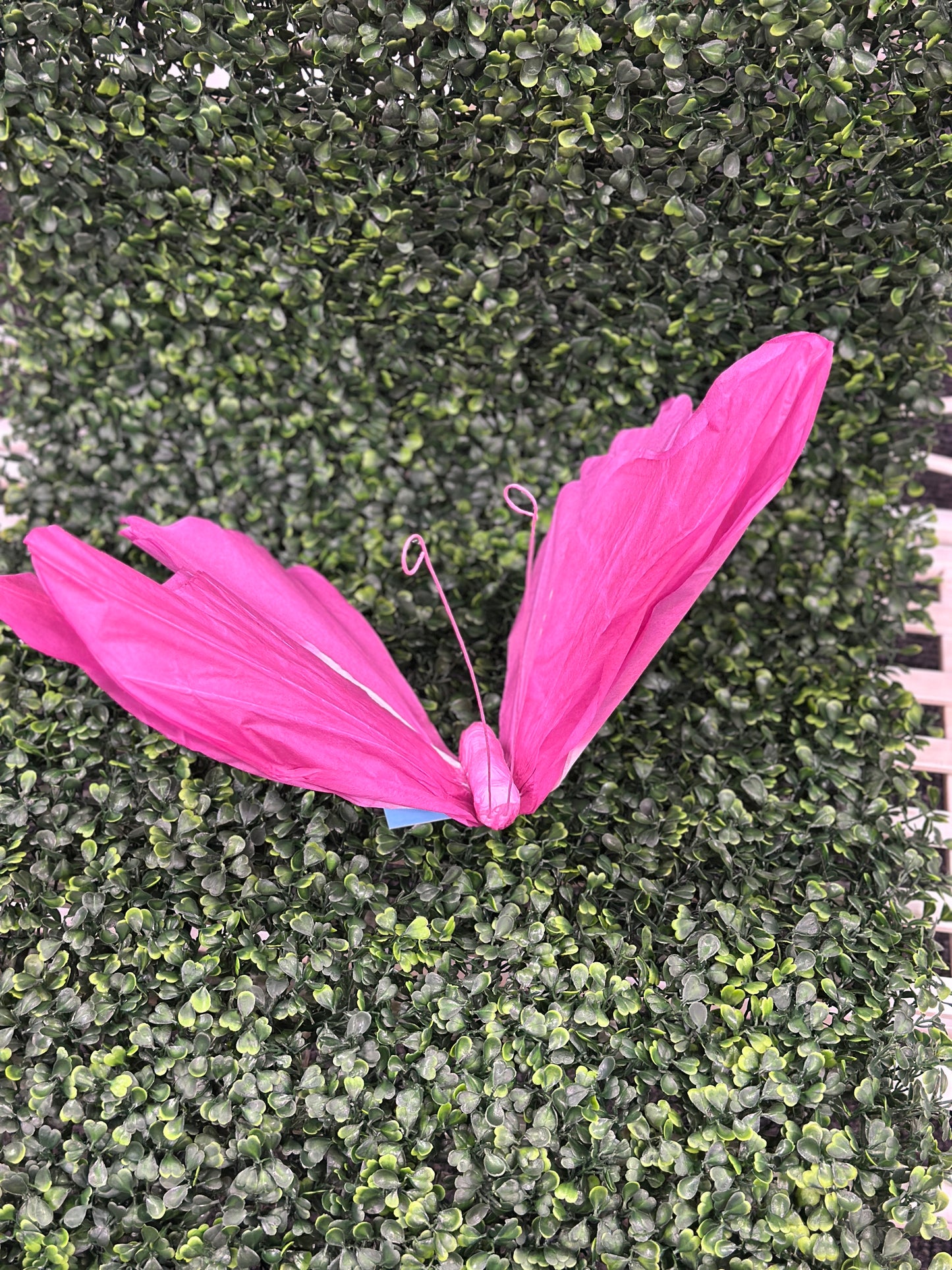 Assorted Color Butterfly Paper Picks