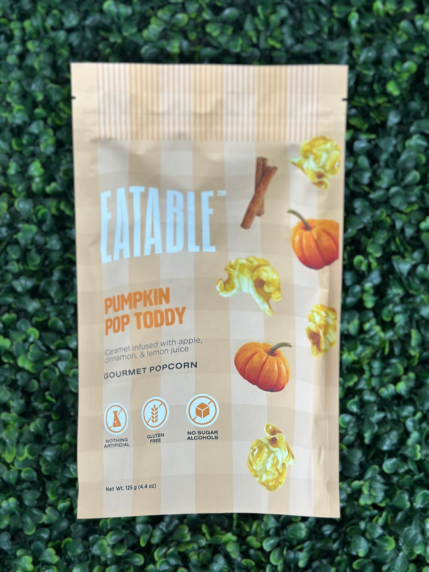 Eatable Popcorn Large Bag