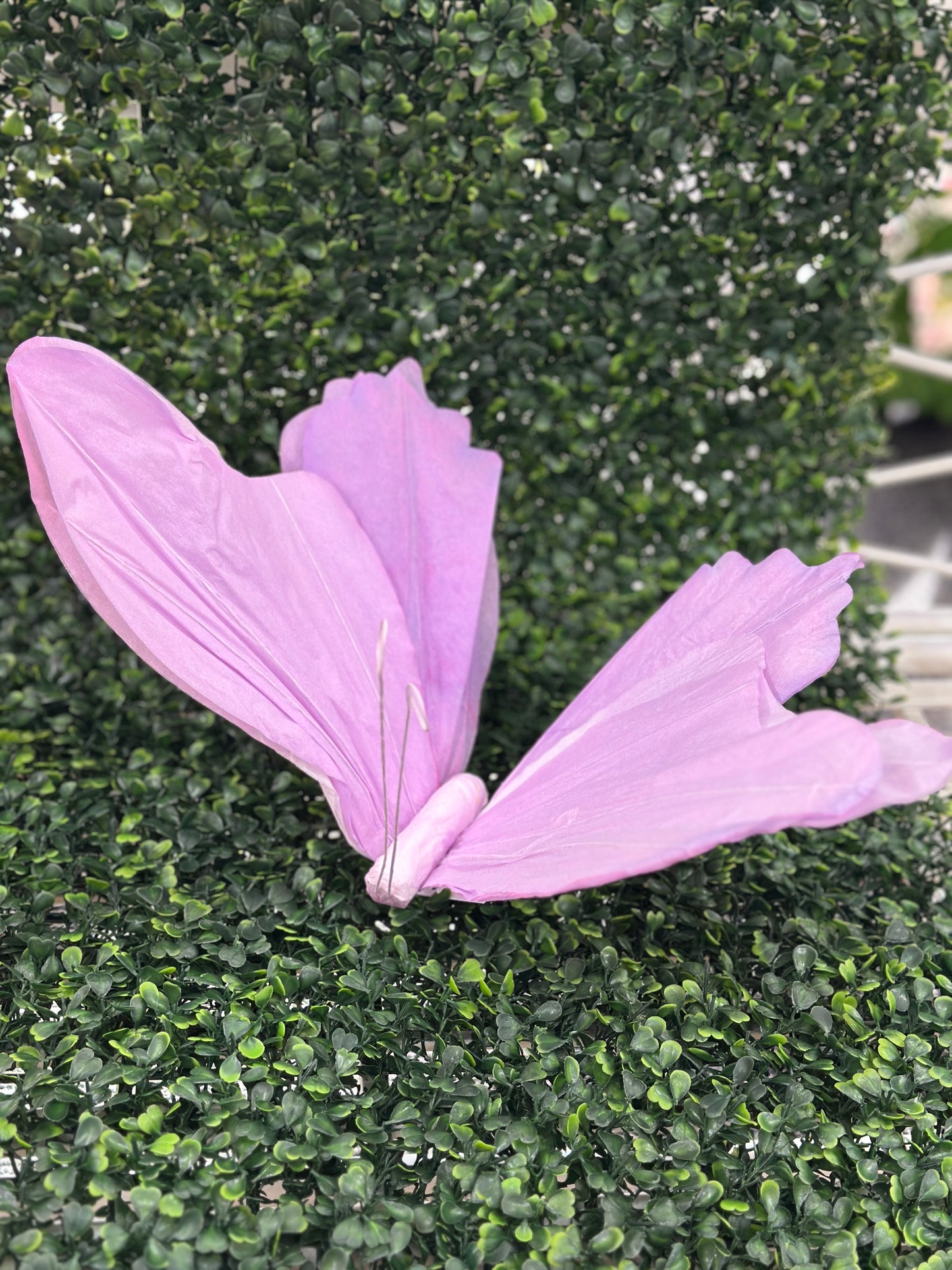 Assorted Color Butterfly Paper Picks