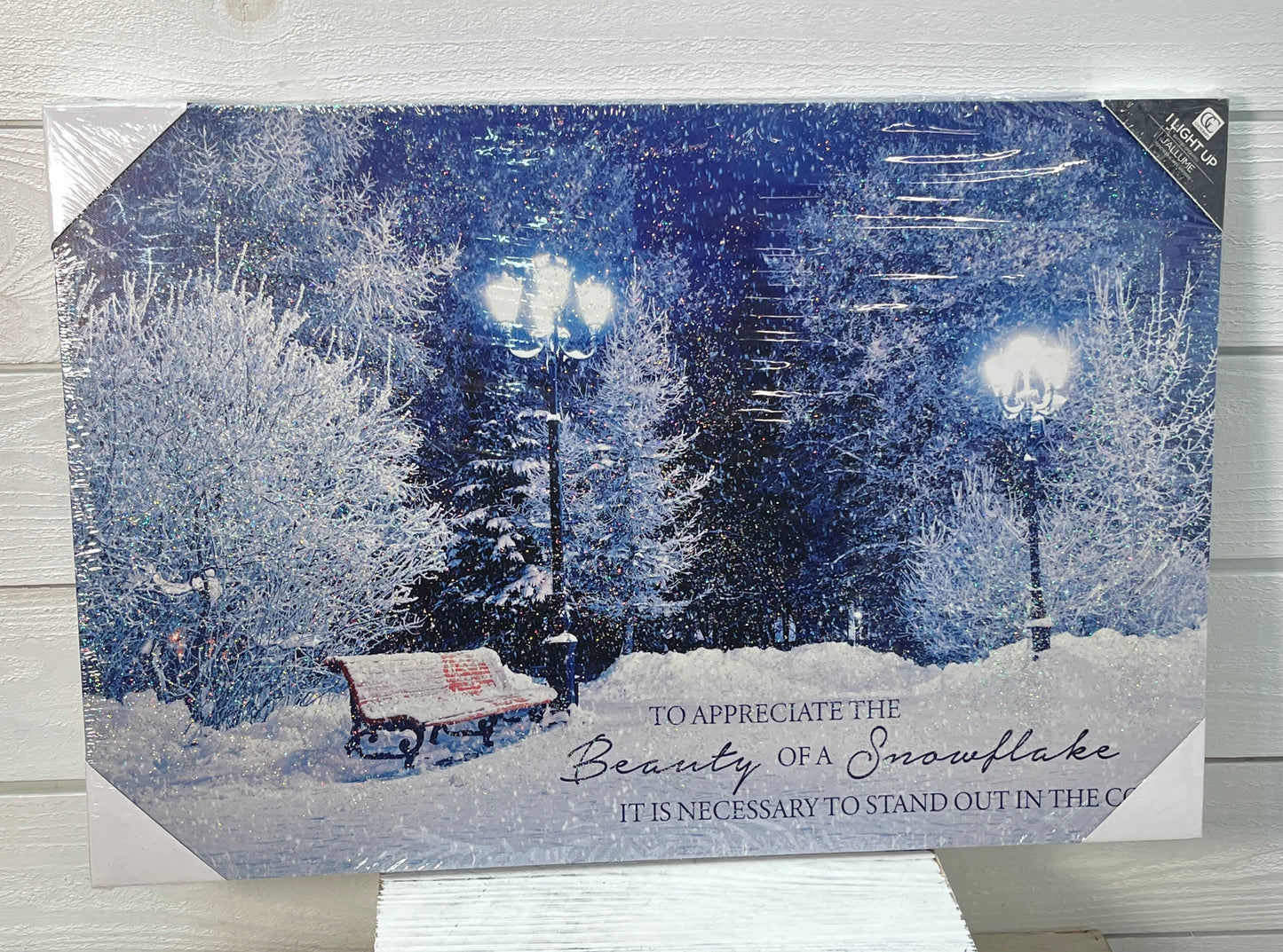 Beauty Of A Snowflake LED Canvas Print
