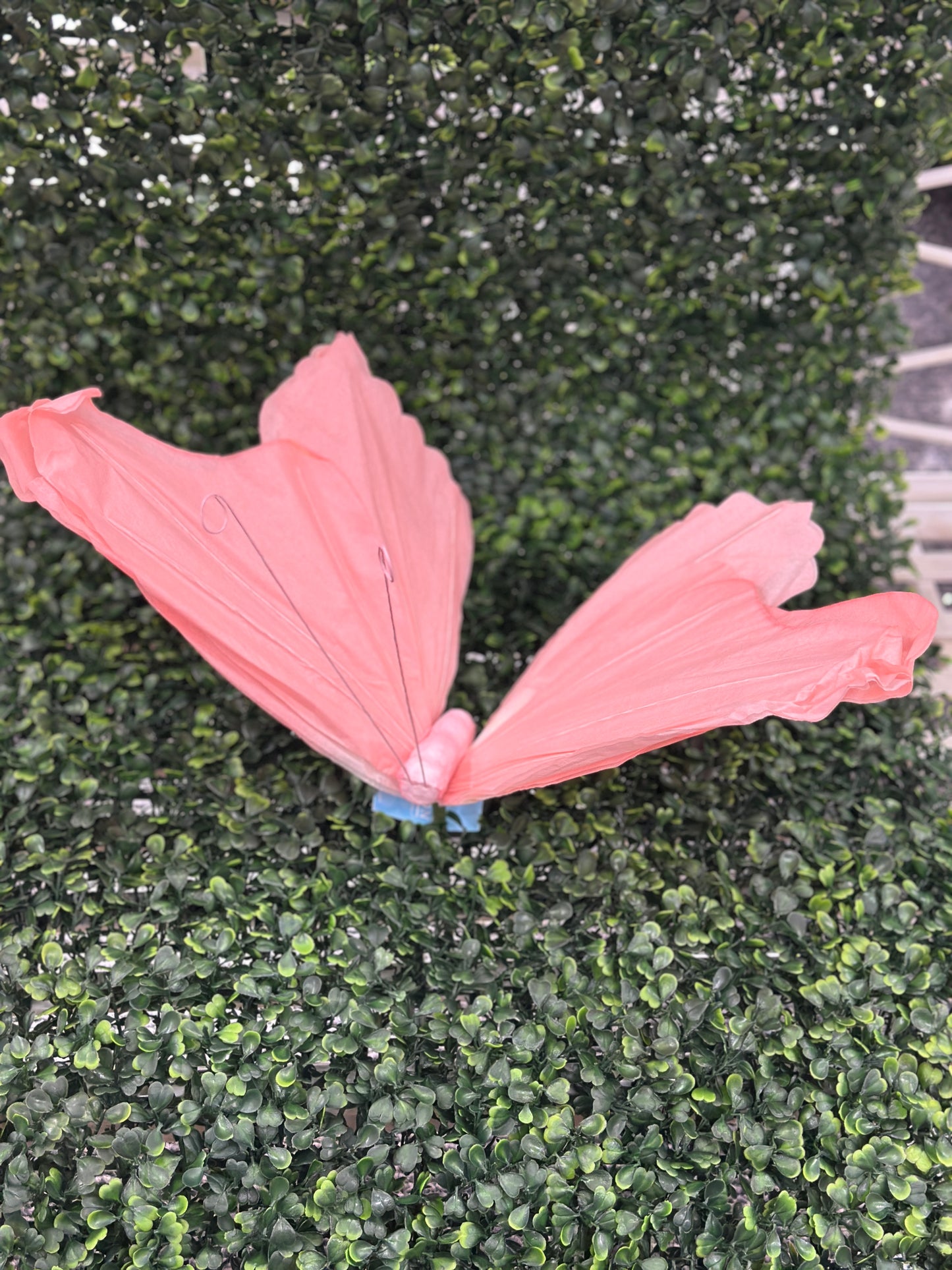 Assorted Color Butterfly Paper Picks