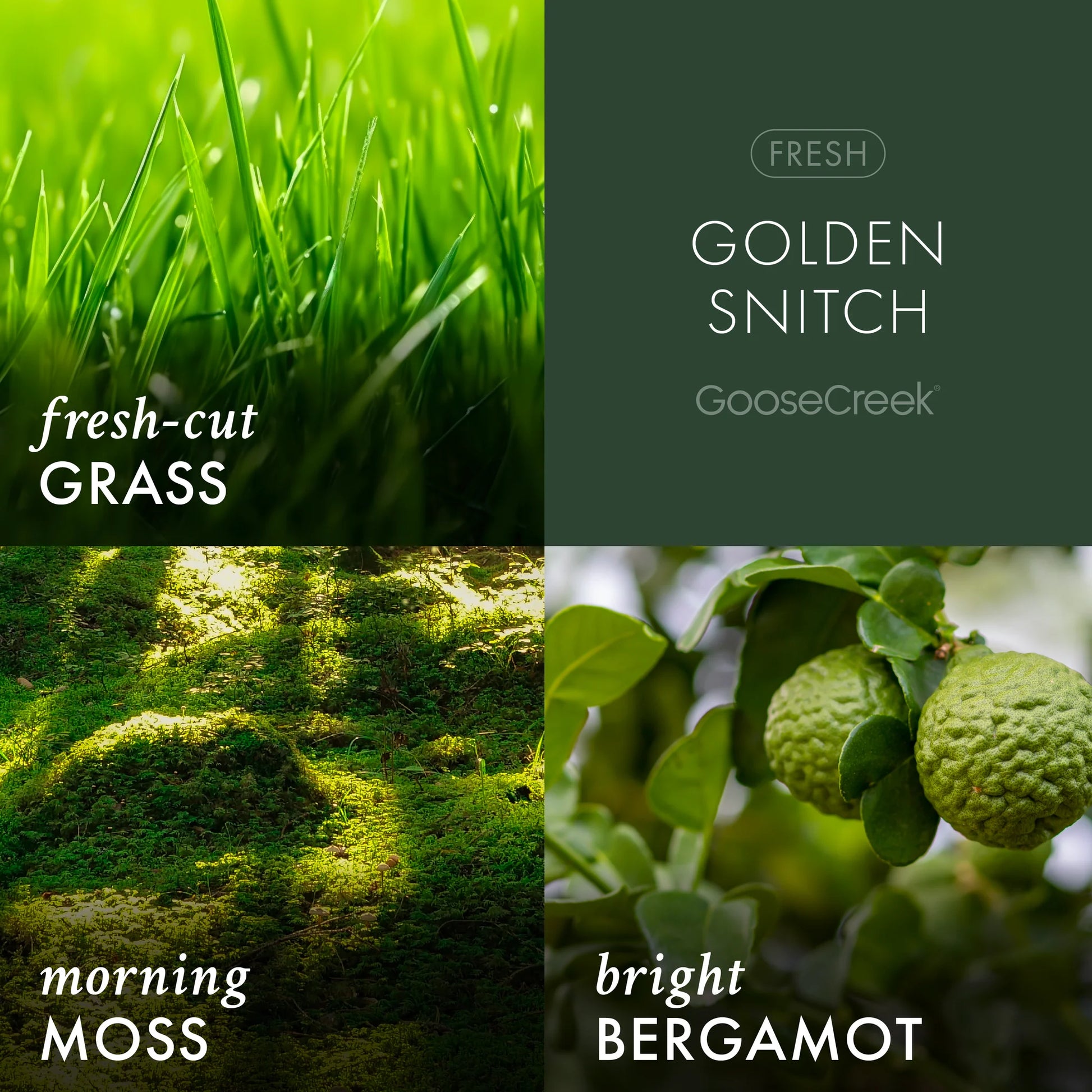 Golden Snitch 3-Wick Harry Potter Candle