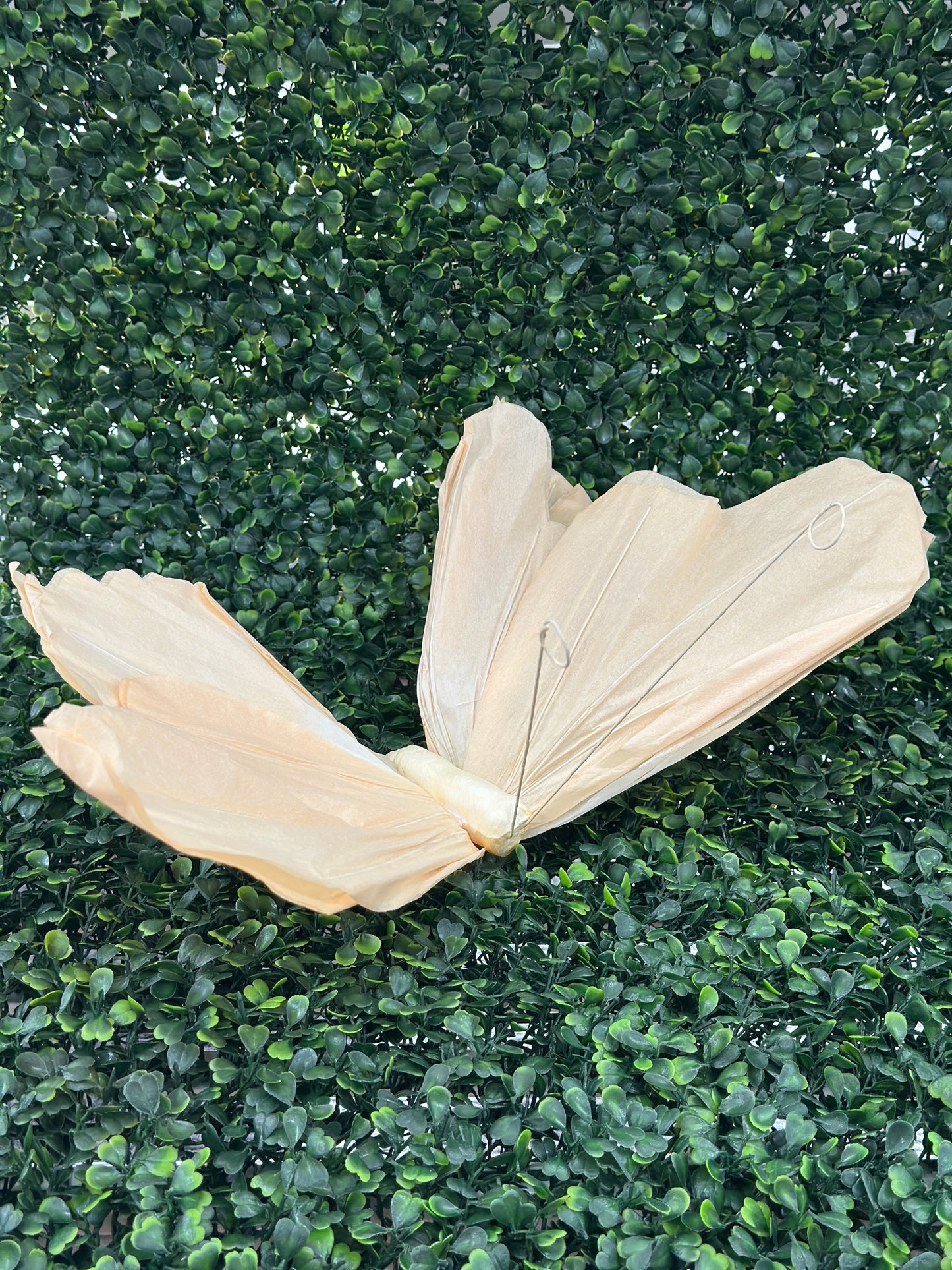 Assorted Color Butterfly Paper Picks