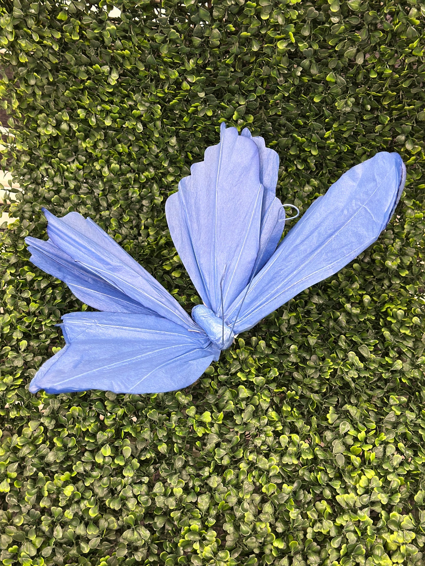 Assorted Color Butterfly Paper Picks