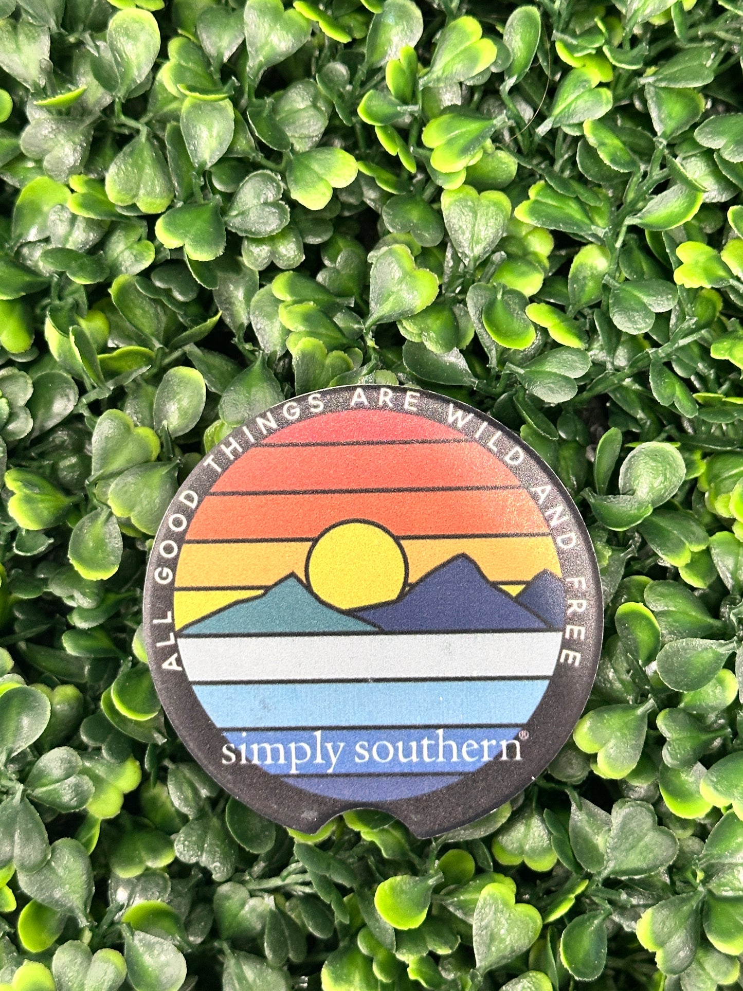 Simply Southern Car Coasters