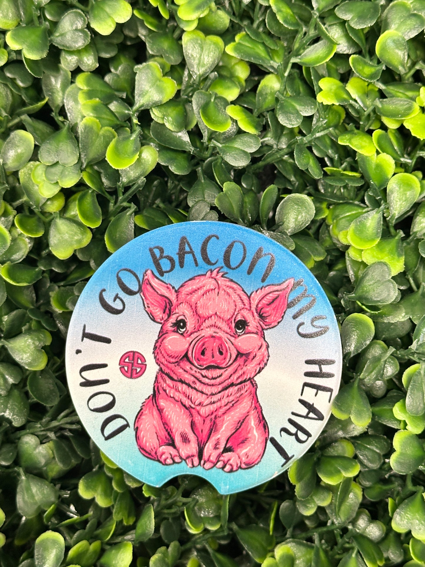 Simply Southern Car Coasters