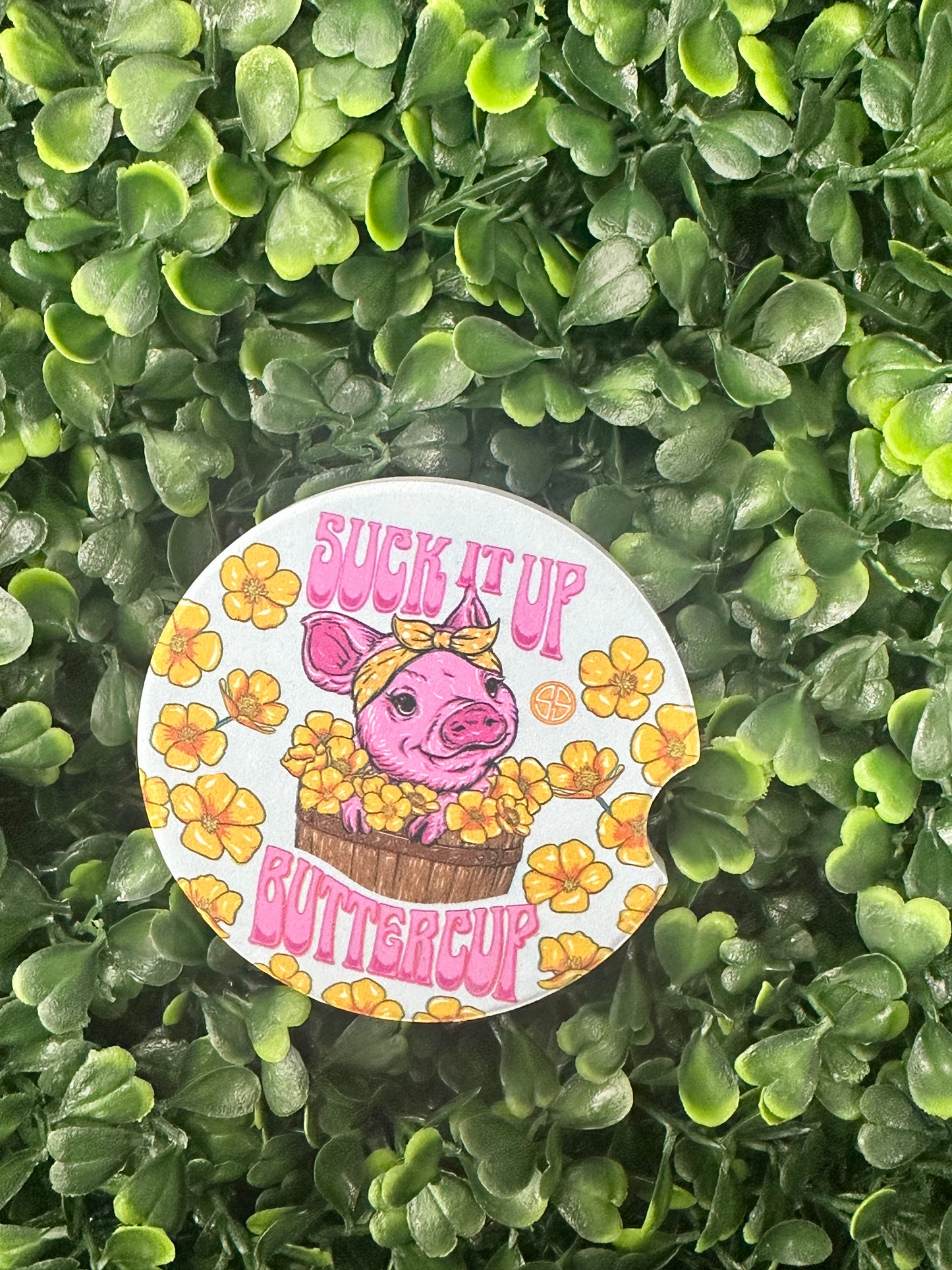 Simply Southern Car Coasters