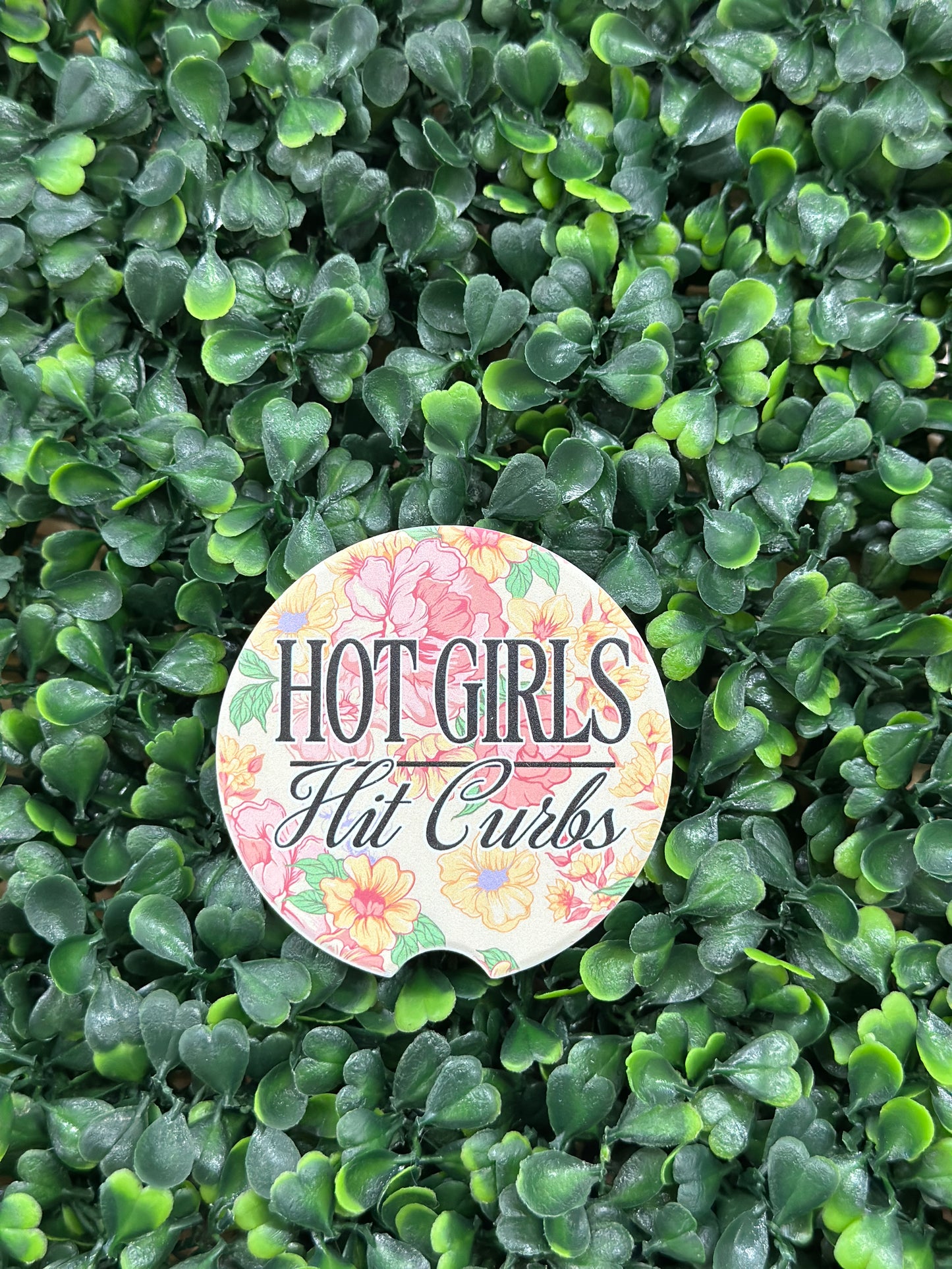 Simply Southern Car Coasters