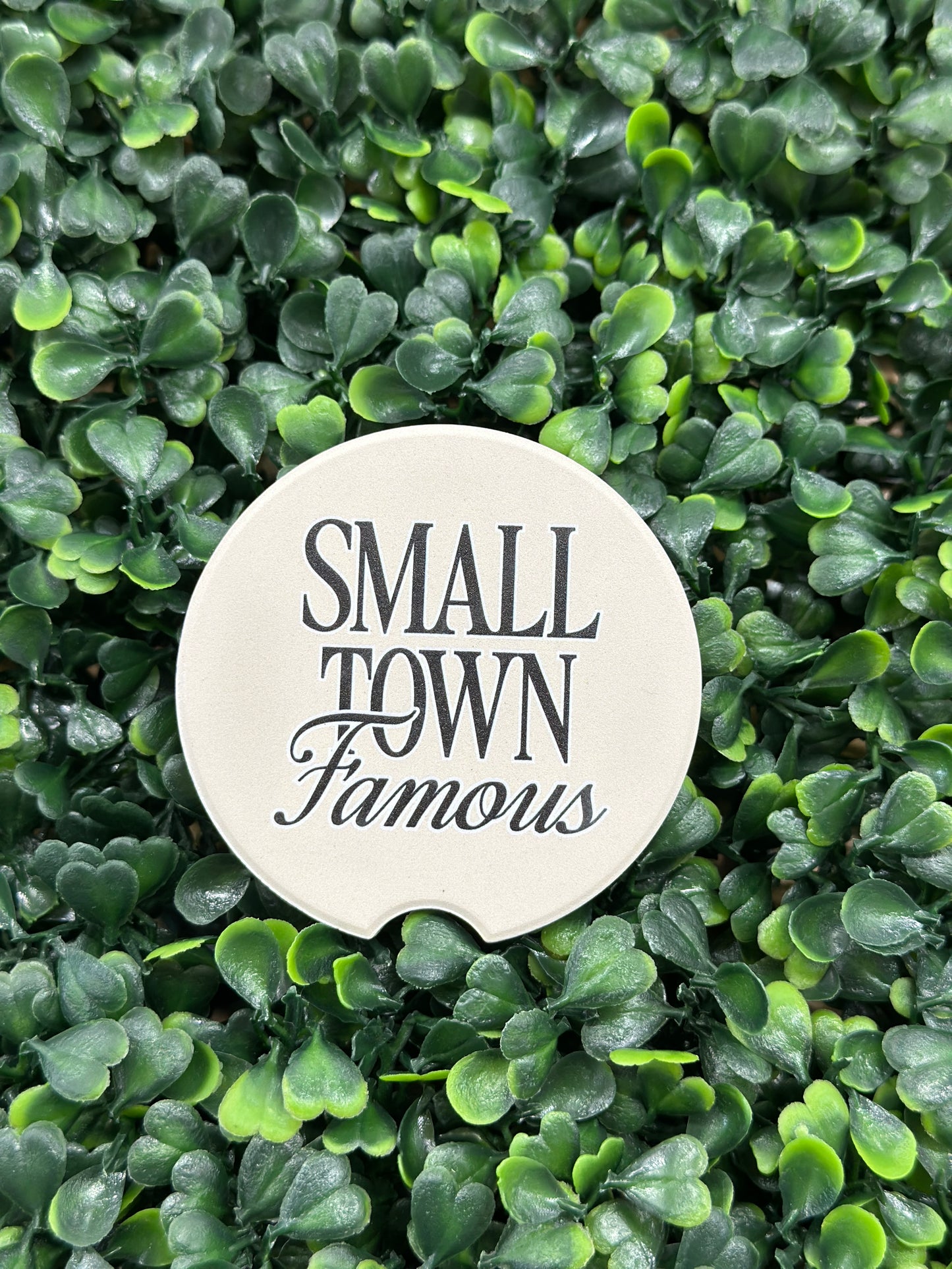 Simply Southern Car Coasters