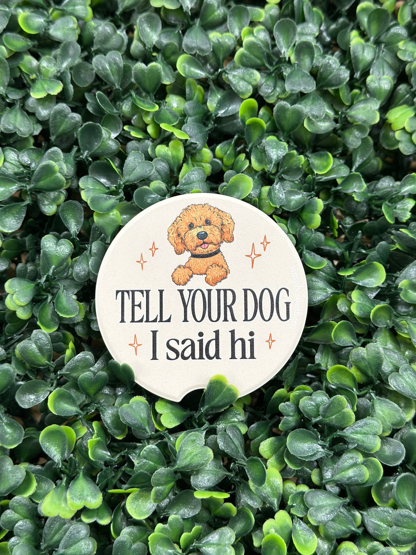 Simply Southern Car Coasters