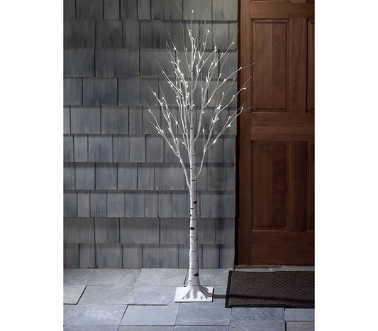 48" Lit Birch Tree