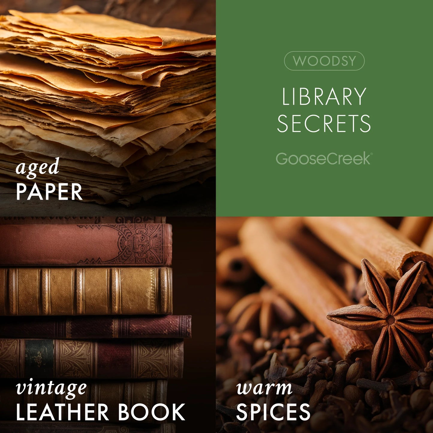 Library Secrets 3-Wick Scooby-Doo Candle