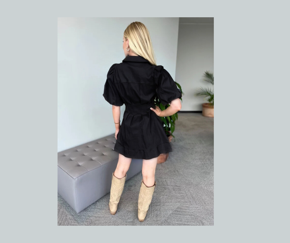 Black Pleated Cinched Waist Dress