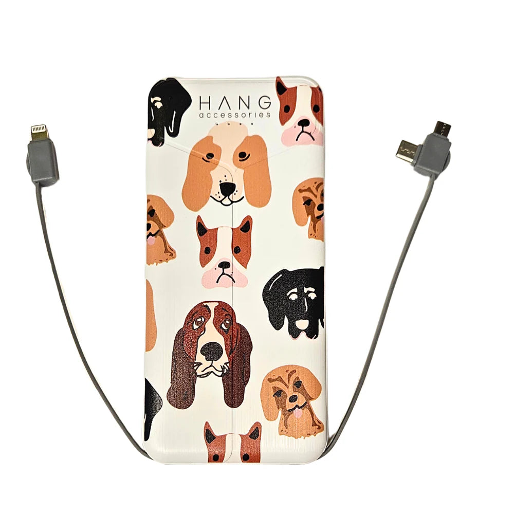 Portable Charging Bank