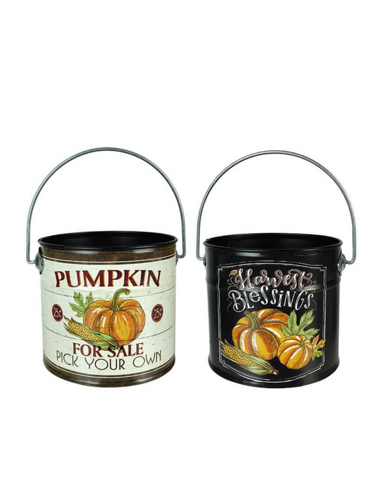 Small Fall Metal Buckets