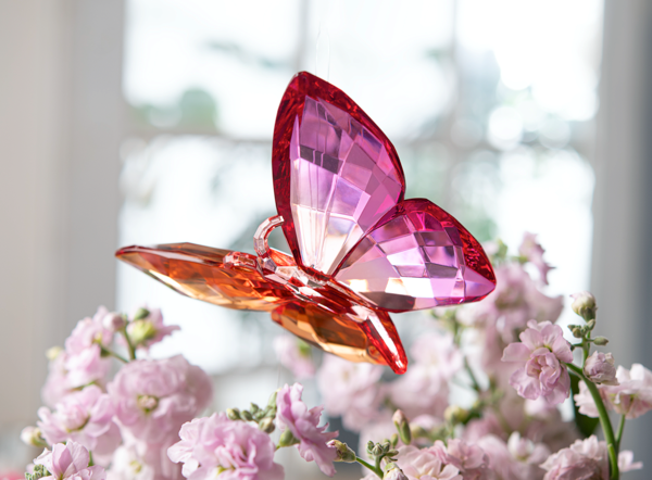Colorful Acrylic Hanging Butterflies