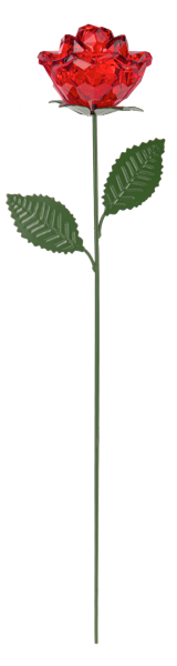 Acrylic Long Stem Rose