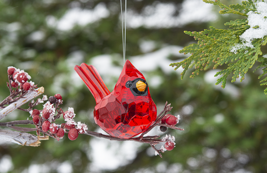 Red Acrylic Cardinal Ornament