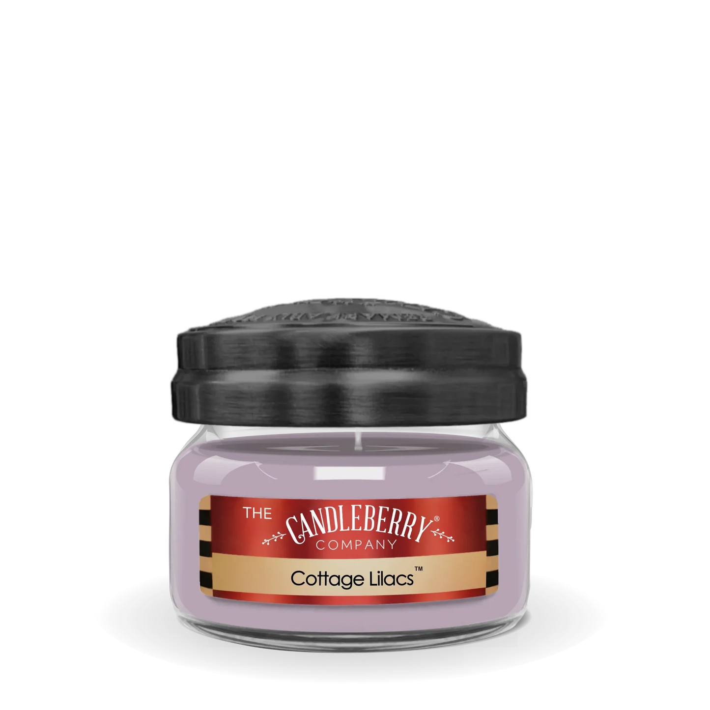 The Candleberry Company- Remarkably Reminiscent Collection SMALL Candles