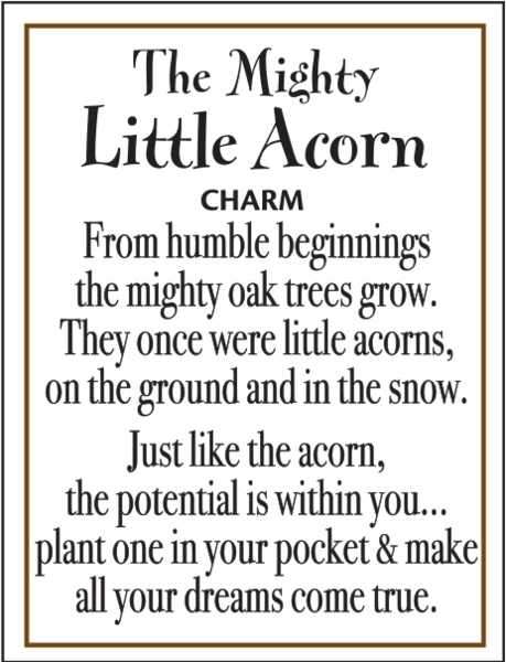 The Mighty Little Acorn Trinket Charms