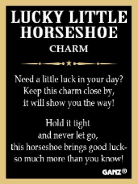The Lucky Little Horseshoe Trinket Charm