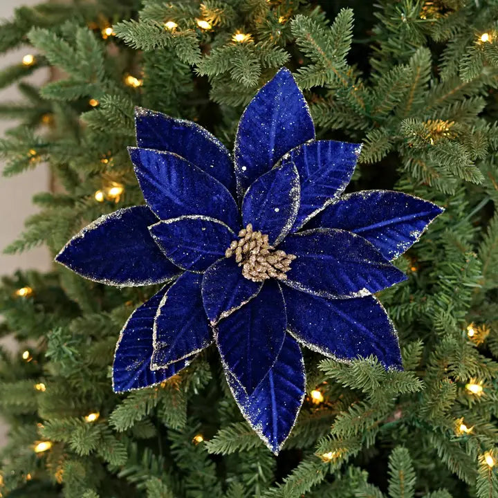 Royal Blue Fine Velvet Poinsettia W Glitter Edges