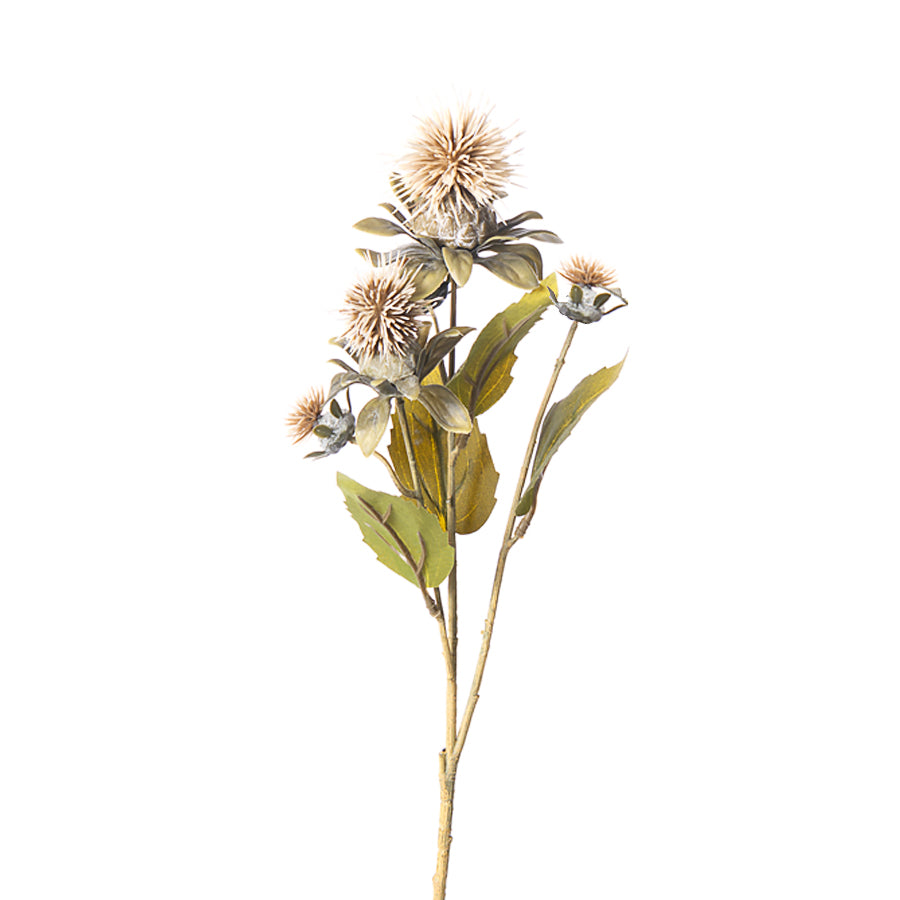 Safflower x3 Floral Pick