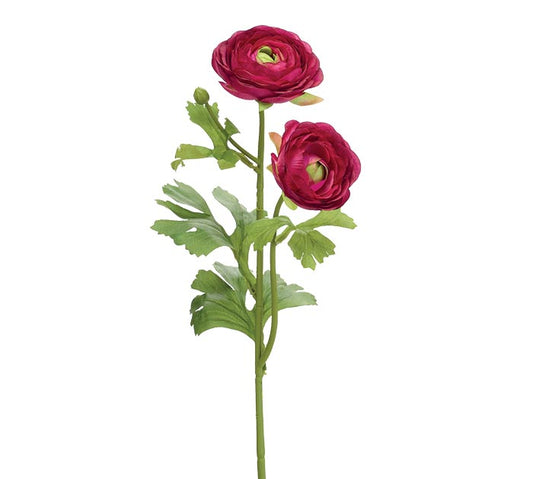 Red Ranunculus Floral Garden Stem