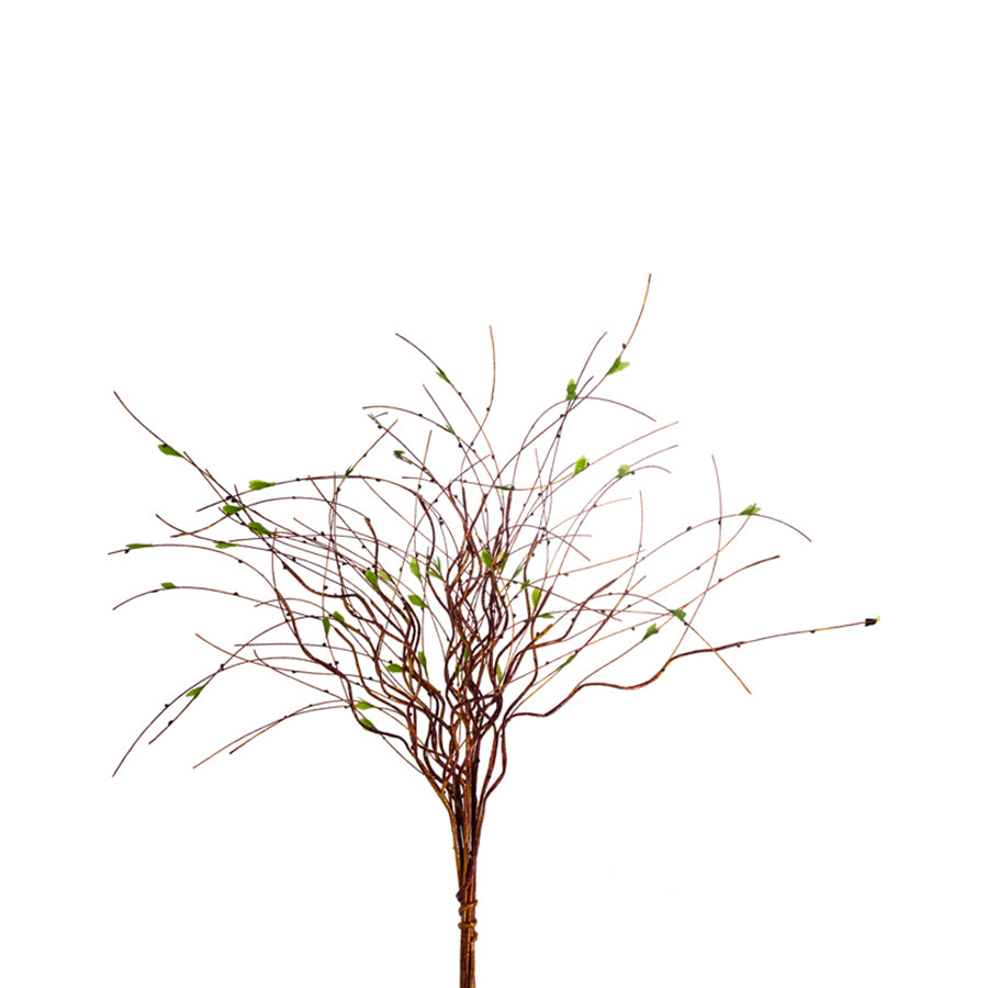 24"Brown Twig Bundle Decor