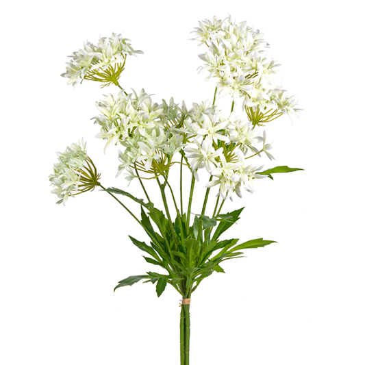 30" Agapanthus Cream Floral Bundle