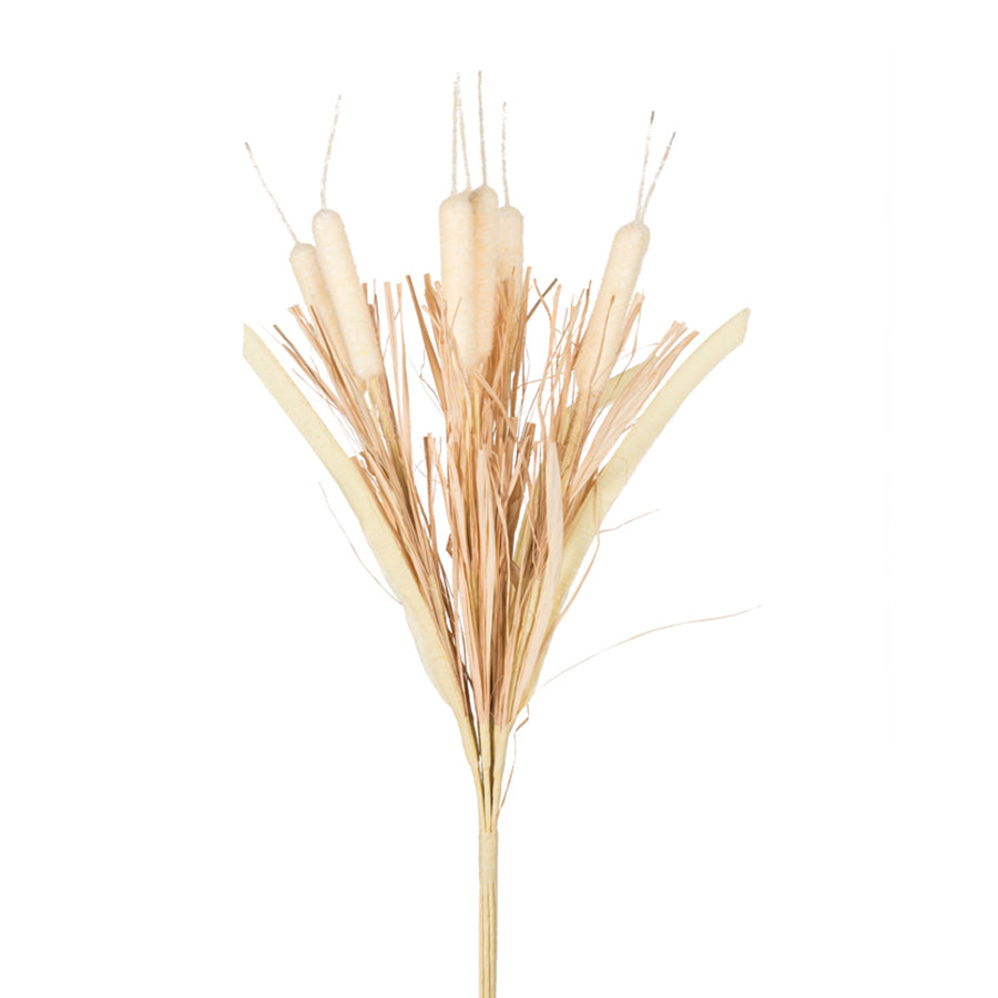 21" Cream Cattail Bundle Floral Pick