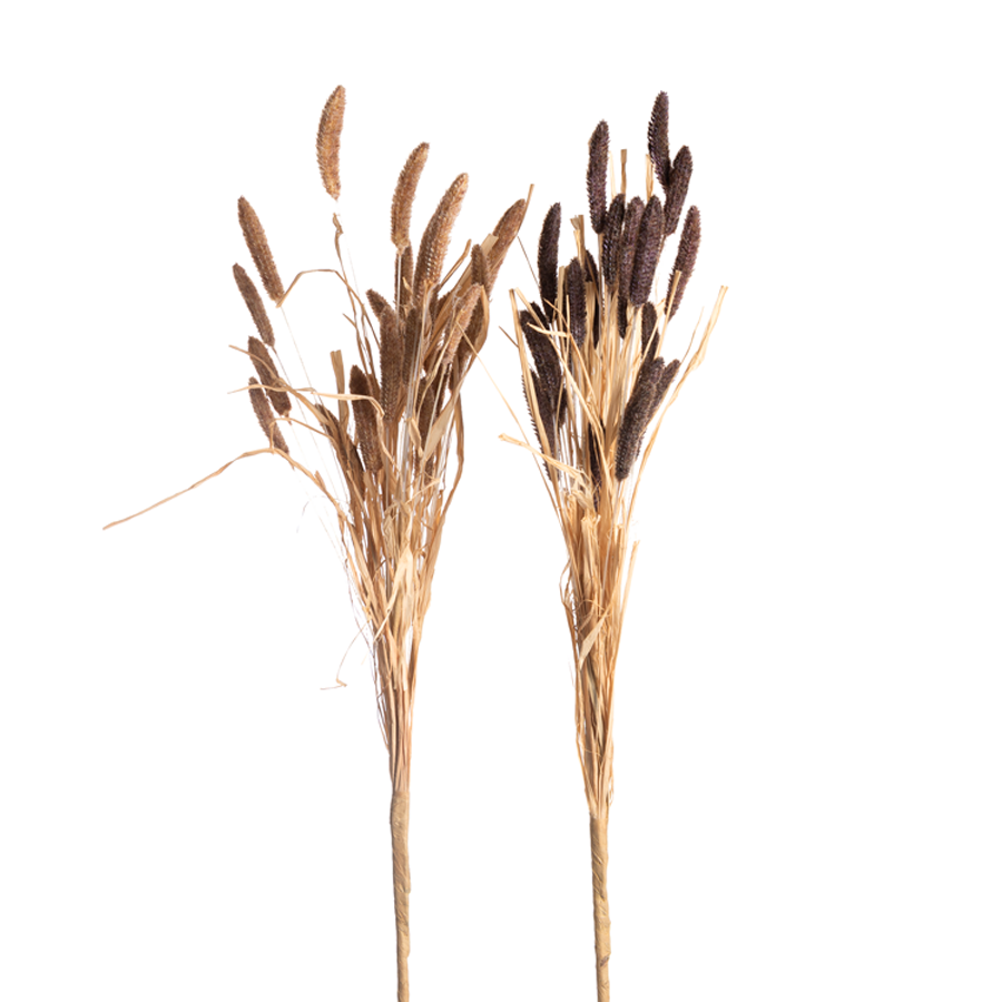 29" Foxtail Bundle Floral Pick