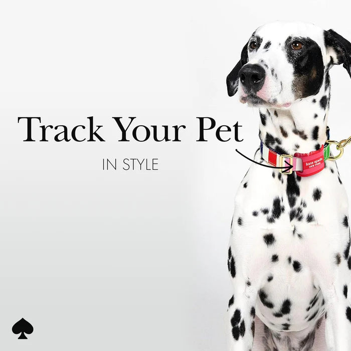 Case Mate Kate Spade Dog Collar AirTag Case